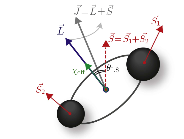 Spin vectors associated with binary black hole systems. See Figure 1 of Rodriguez et al. 2016